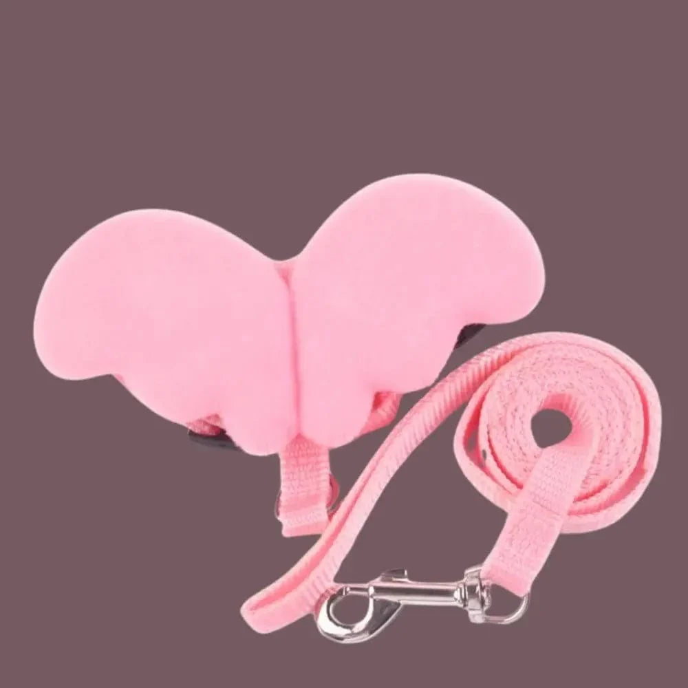 Harnais chat avec ailes - Style et liberté Griffe d'Amour