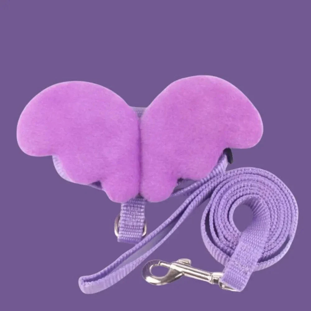 Harnais chat avec ailes - Style et liberté Griffe d'Amour