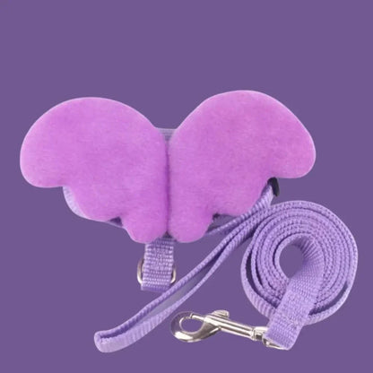 Harnais chat avec ailes - Style et liberté Griffe d'Amour