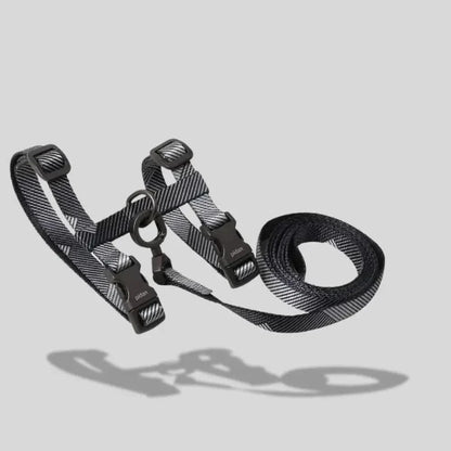 Harnais laisse pour chat - Griffe d'Amour