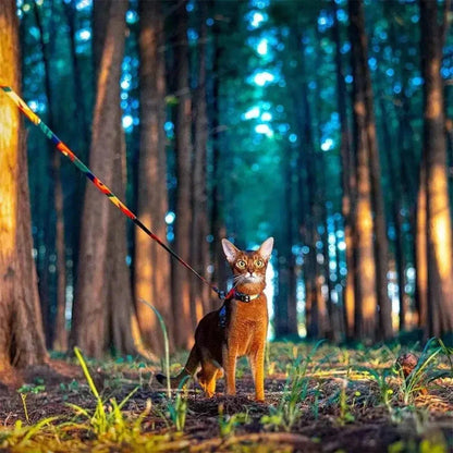 Harnais laisse pour chat - Sécurité maximale