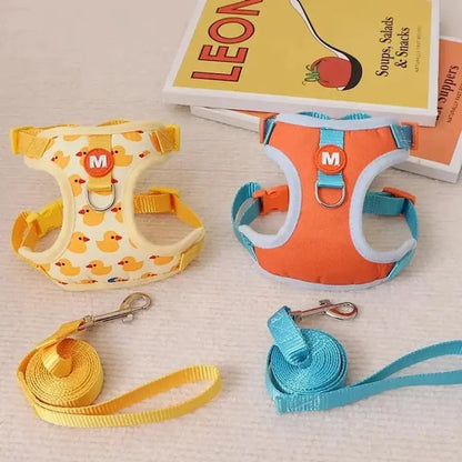 Harnais chaton 3 mois - Apprentissage facile | BabyPaw