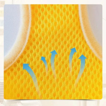 Harnais chaton 3 mois - Apprentissage facile | BabyPaw