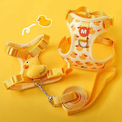 Harnais chaton 3 mois