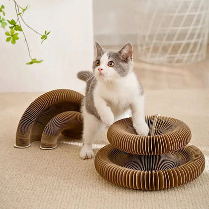Jouet griffoir chat avec balle - Jeu interactif