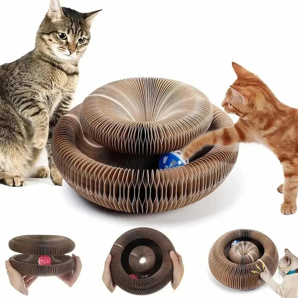 Jouet griffoir chat avec balle - Jeu interactif
