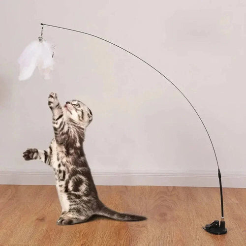 Jouet pour chat plume à ventouse - Amusement garanti