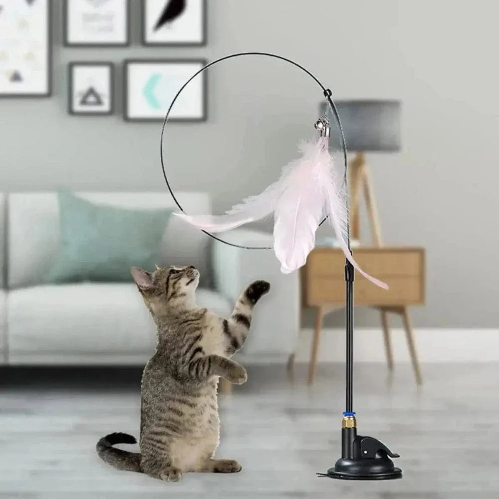 Jouet pour chat plume à ventouse - Amusement garanti