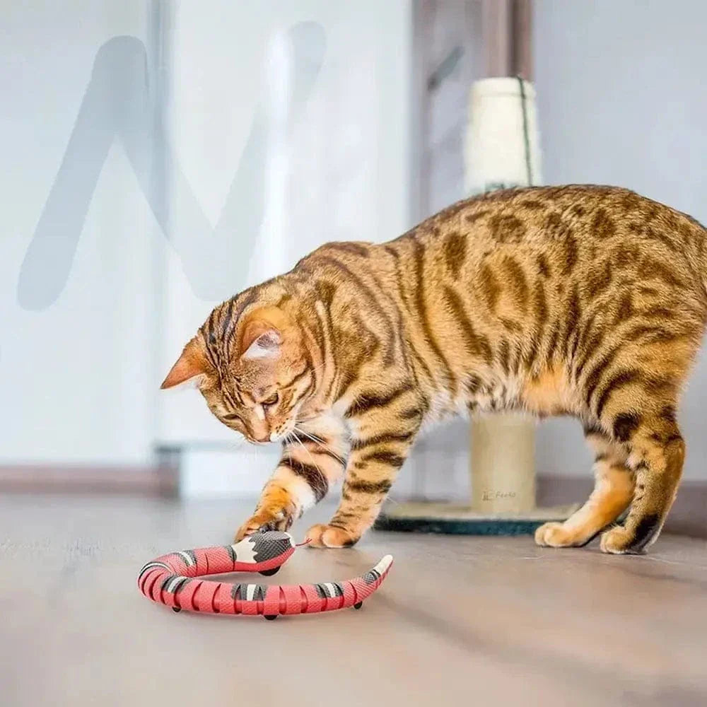 Jouet serpent pour chat - Stimule l'instinct de chasse