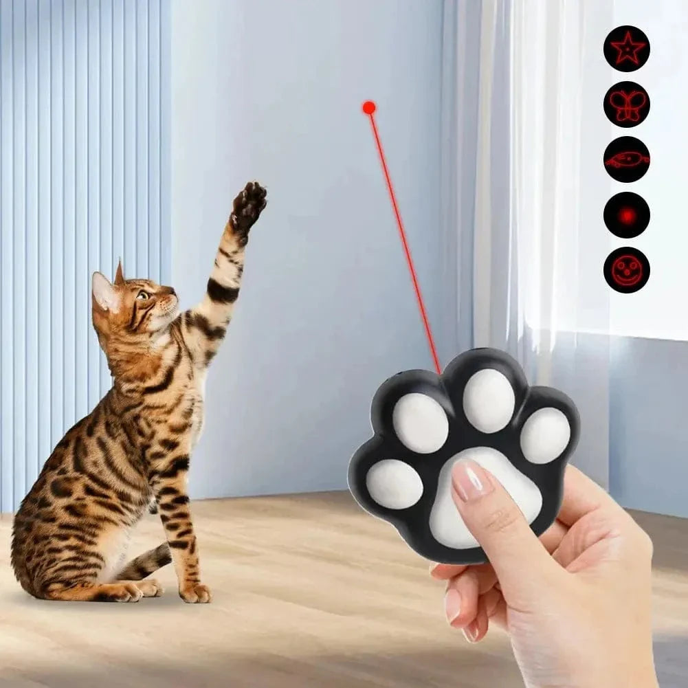 Mini laser pour chat - Divertissement garanti