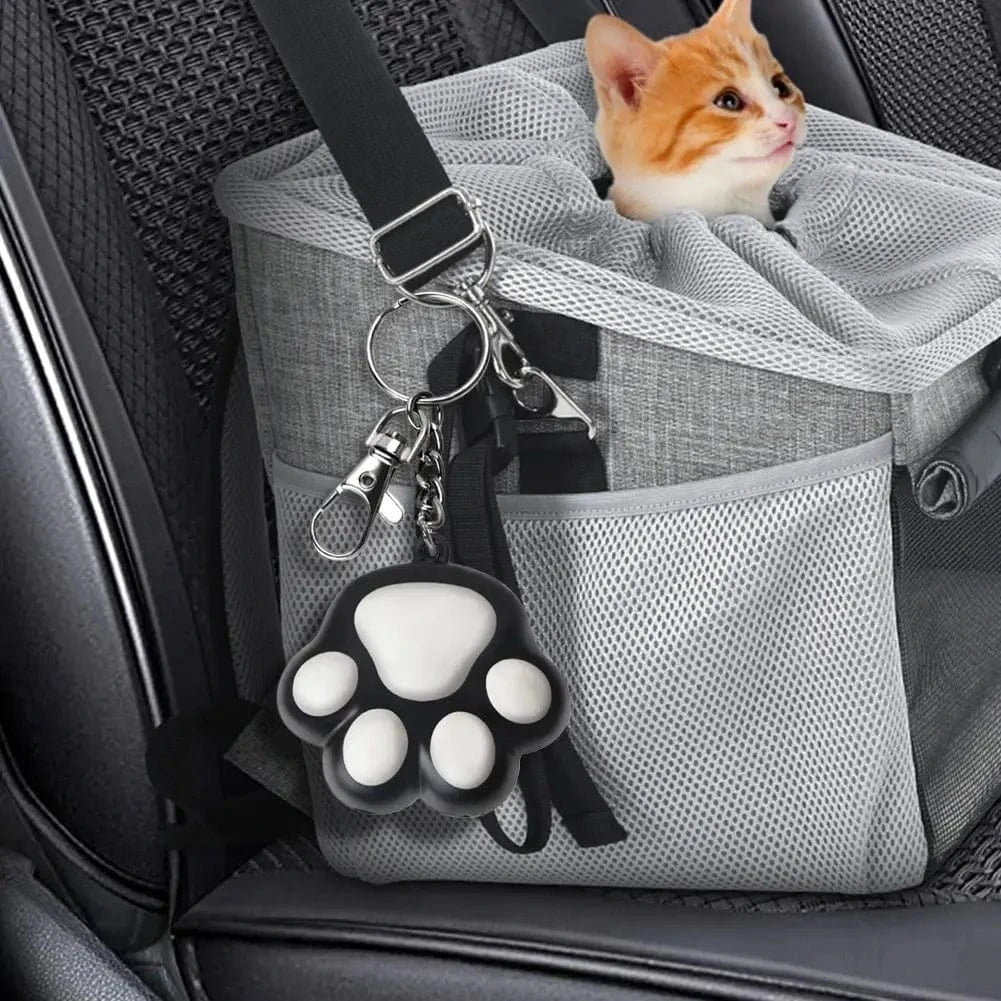 Mini laser pour chat - Divertissement garanti