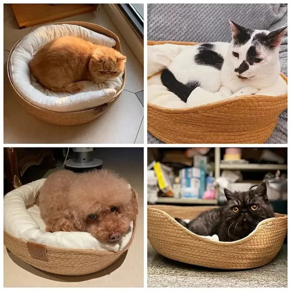 Panier chat bambou naturel - Confort et élégance