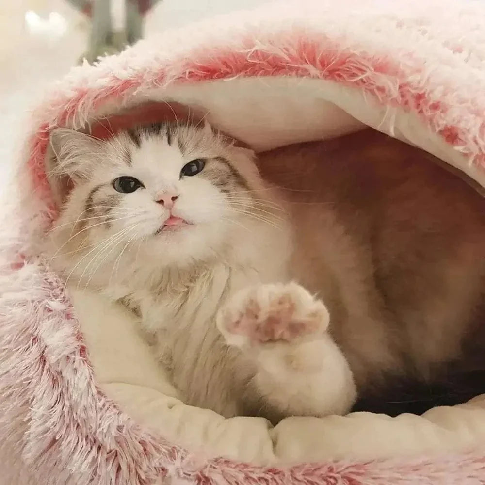 Panier rond pour chat - Peluche douce