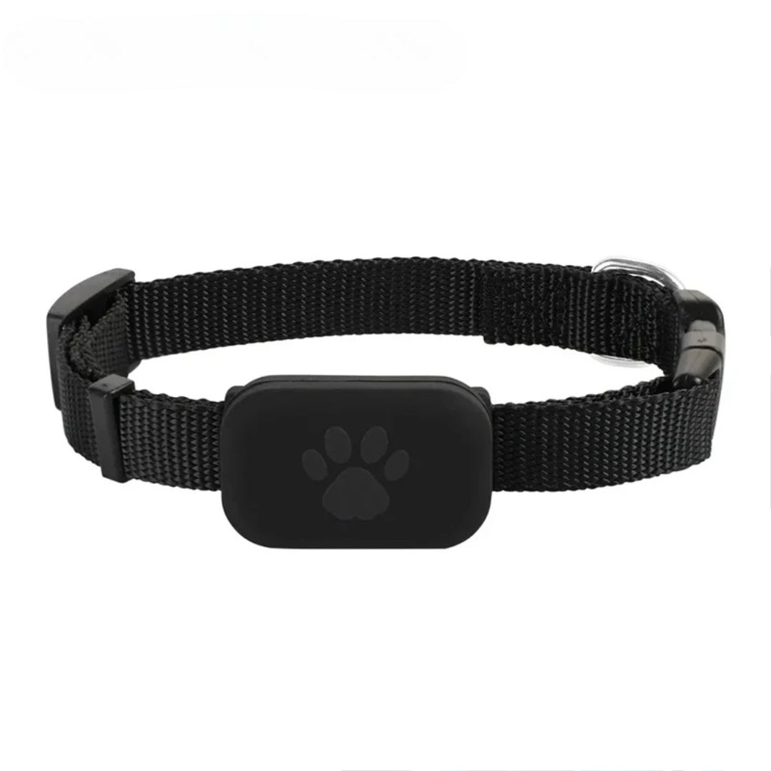 Collier GPS Chat pour iPhone avec boucle anti-étranglement