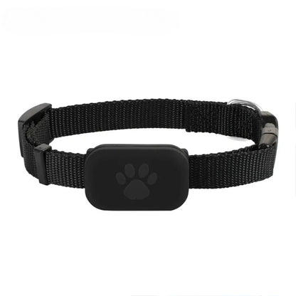 Collier GPS Chat pour iPhone avec boucle anti-étranglement