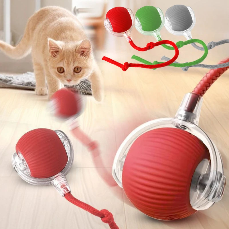 Balle magique pour chat - La balle interactive