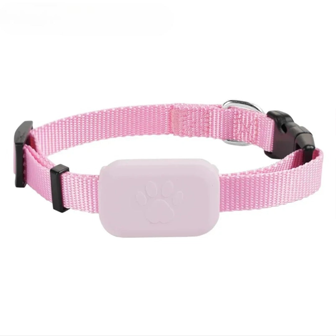 Collier GPS Chat pour iPhone avec boucle anti-étranglement