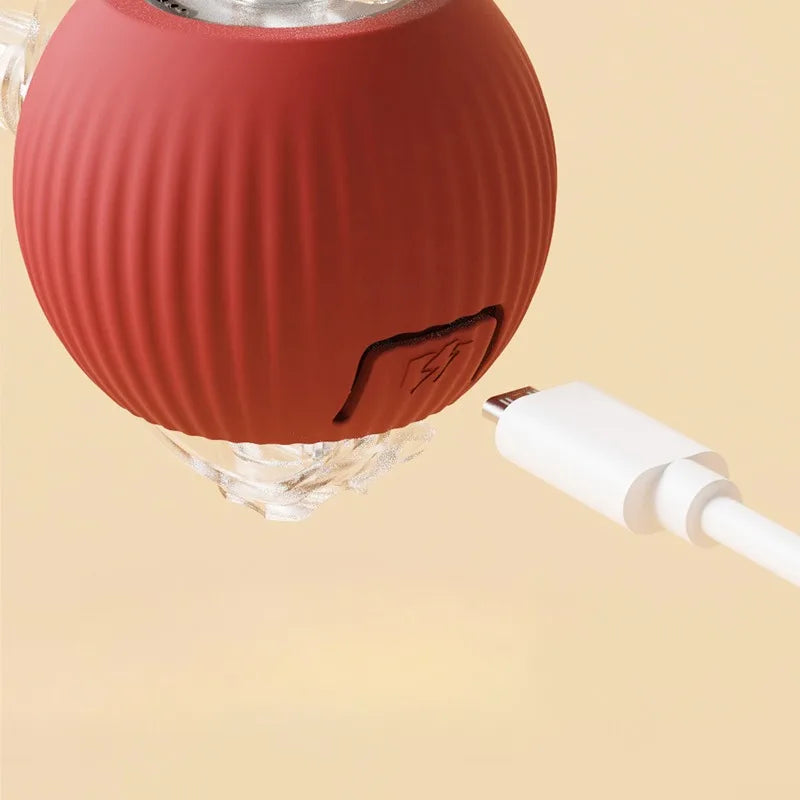 Balle magique pour chat - La balle interactive