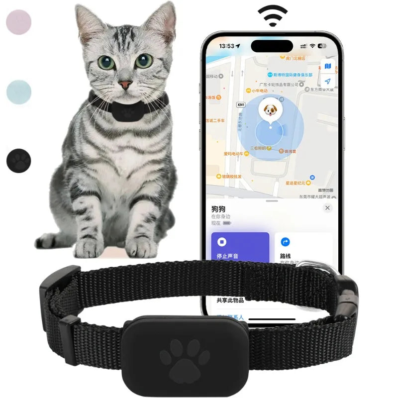 Collier GPS Chat pour iPhone avec boucle anti-étranglement