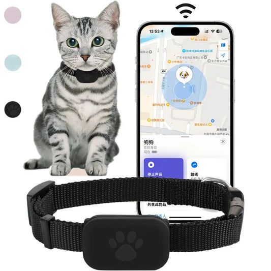 Collier GPS Chat pour iPhone avec boucle anti-étranglement