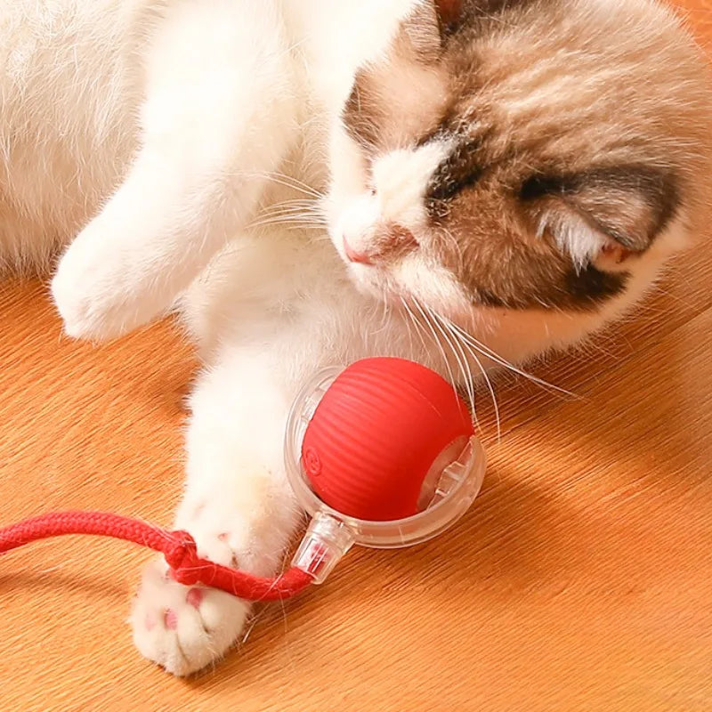 Balle magique pour chat - La balle interactive