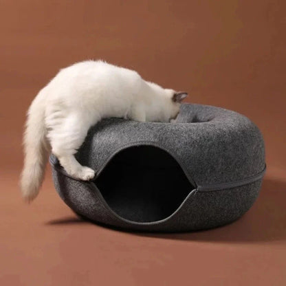 Tunnel donut chat - Sieste et jeu