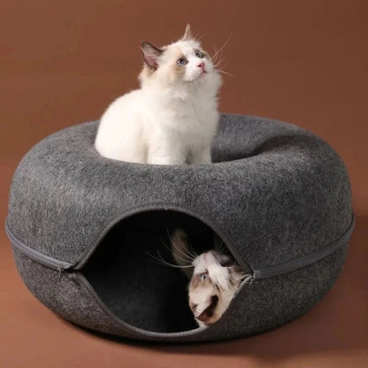 Tunnel donut chat - Sieste et jeu