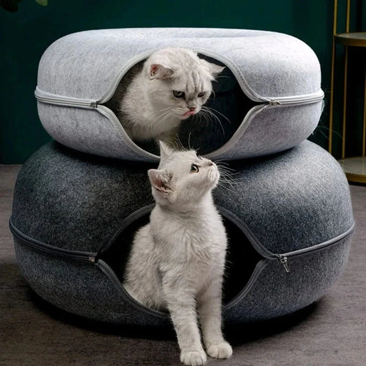 Tunnel donut chat - Sieste et jeu