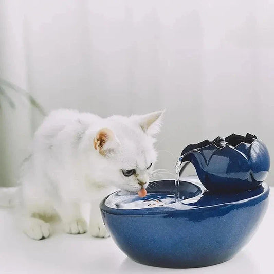 Abreuvoir chat céramique - Eau fraîche et propre garantie