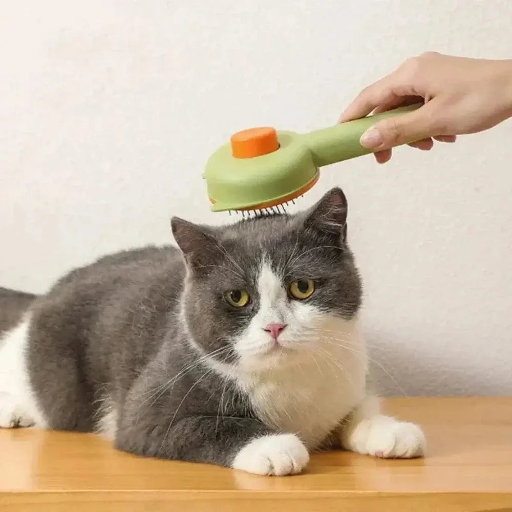 Brosse Autonettoyante en 1 clic pour chat et chien