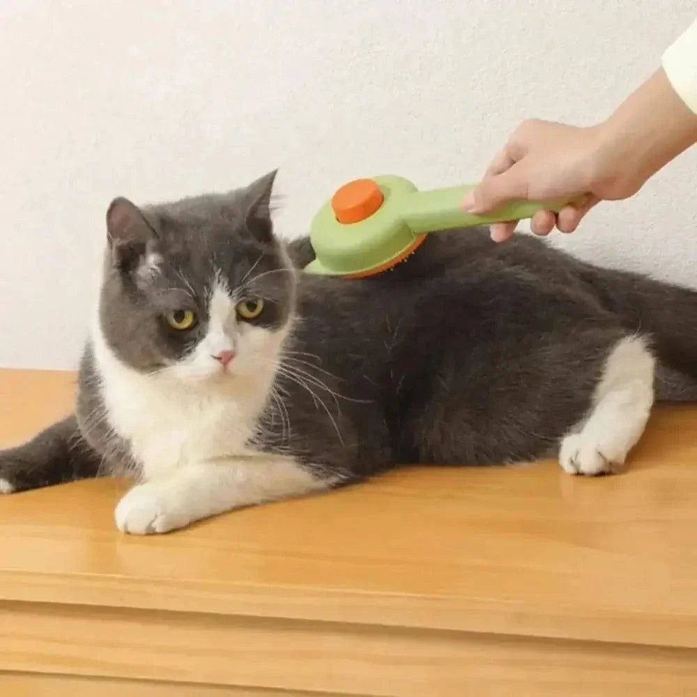 Brosse Autonettoyante en 1 clic pour chat et chien