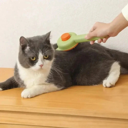 Brosse Autonettoyante en 1 clic pour chat et chien