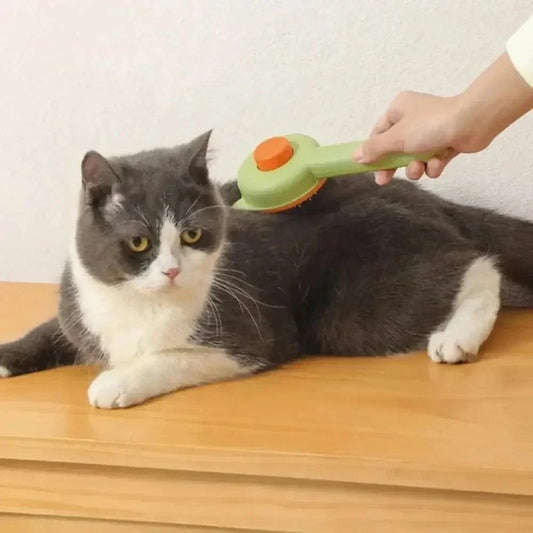 Brosse Autonettoyante en 1 clic pour chat et chien