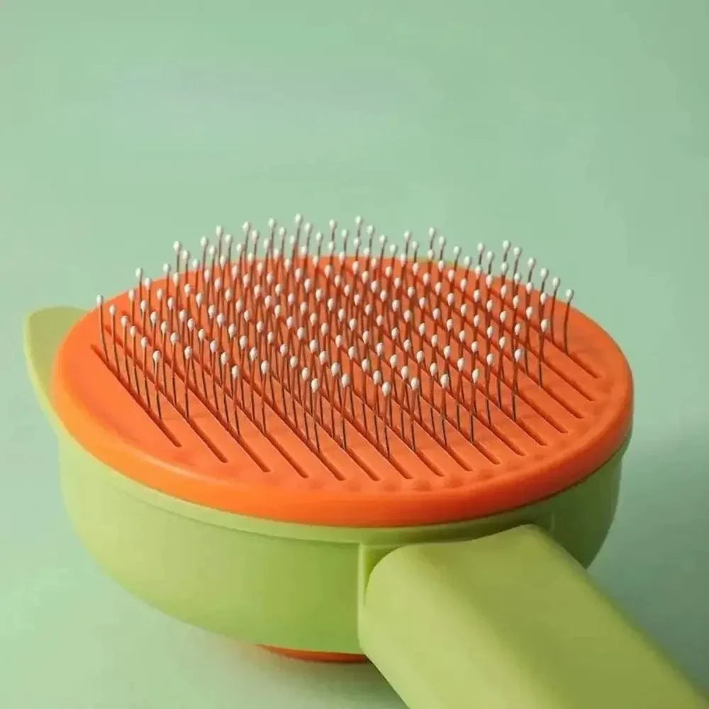 Brosse Autonettoyante en 1 clic pour chat et chien