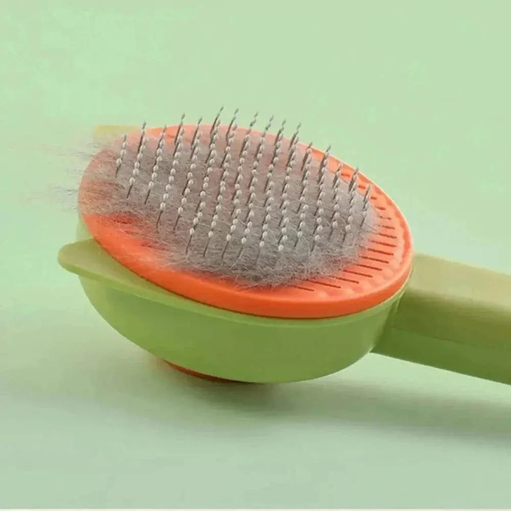 Brosse Autonettoyante en 1 clic pour chat et chien