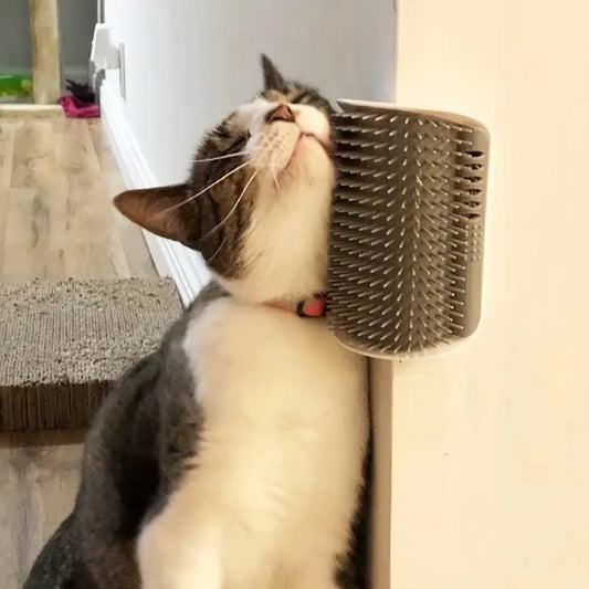 Brosse murale pour Chat - Moins de poils et plus de plaisir