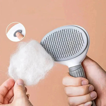 Brosse de toilettage pour chat – Pour un moment de complicité
