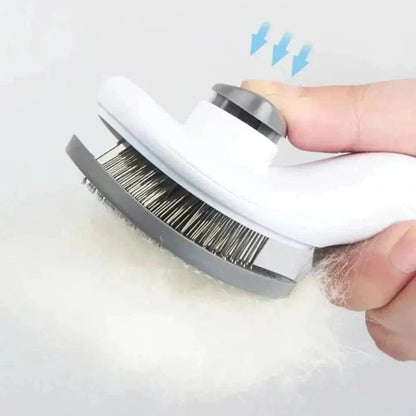 Brosse de toilettage pour chat – Pour un moment de complicité
