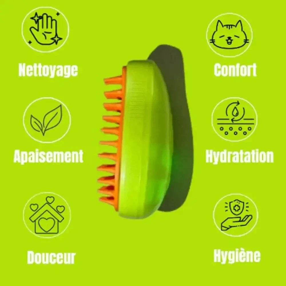 Brosse à vapeur douce et efficace