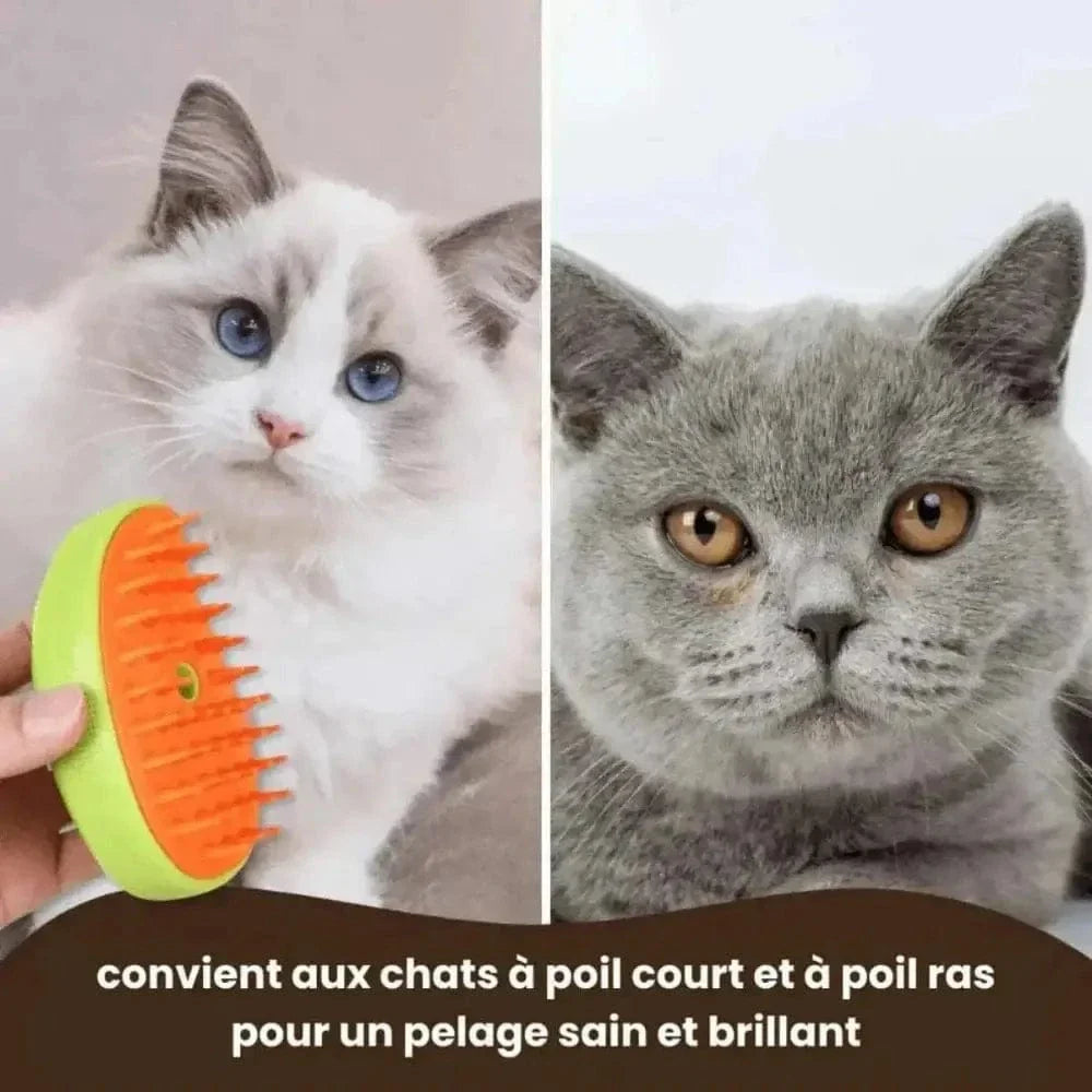 Brosse à vapeur douce et efficace