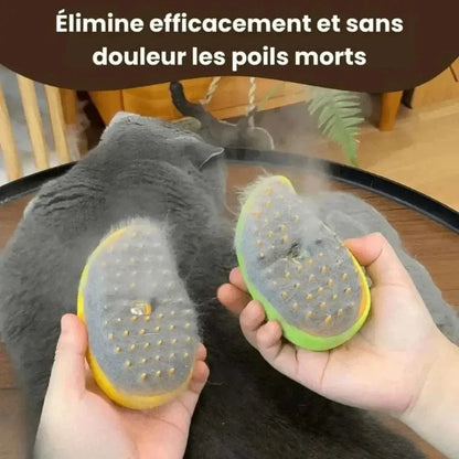 Brosse à vapeur douce et efficace