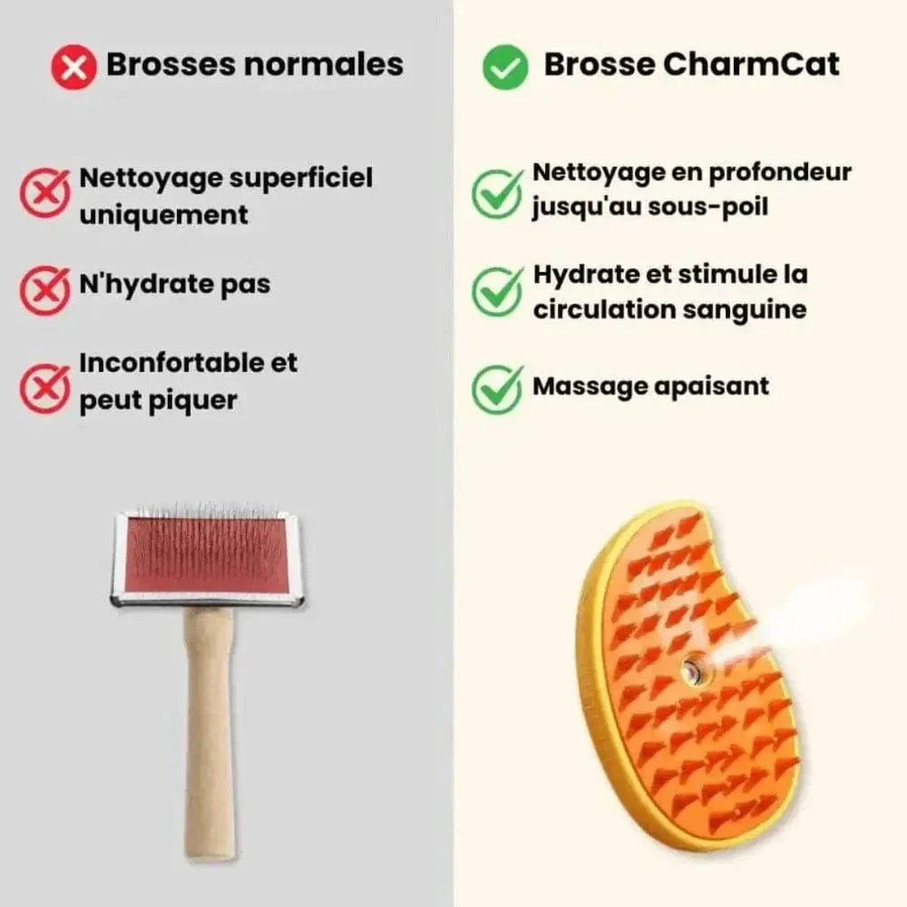 Brosse à vapeur douce et efficace