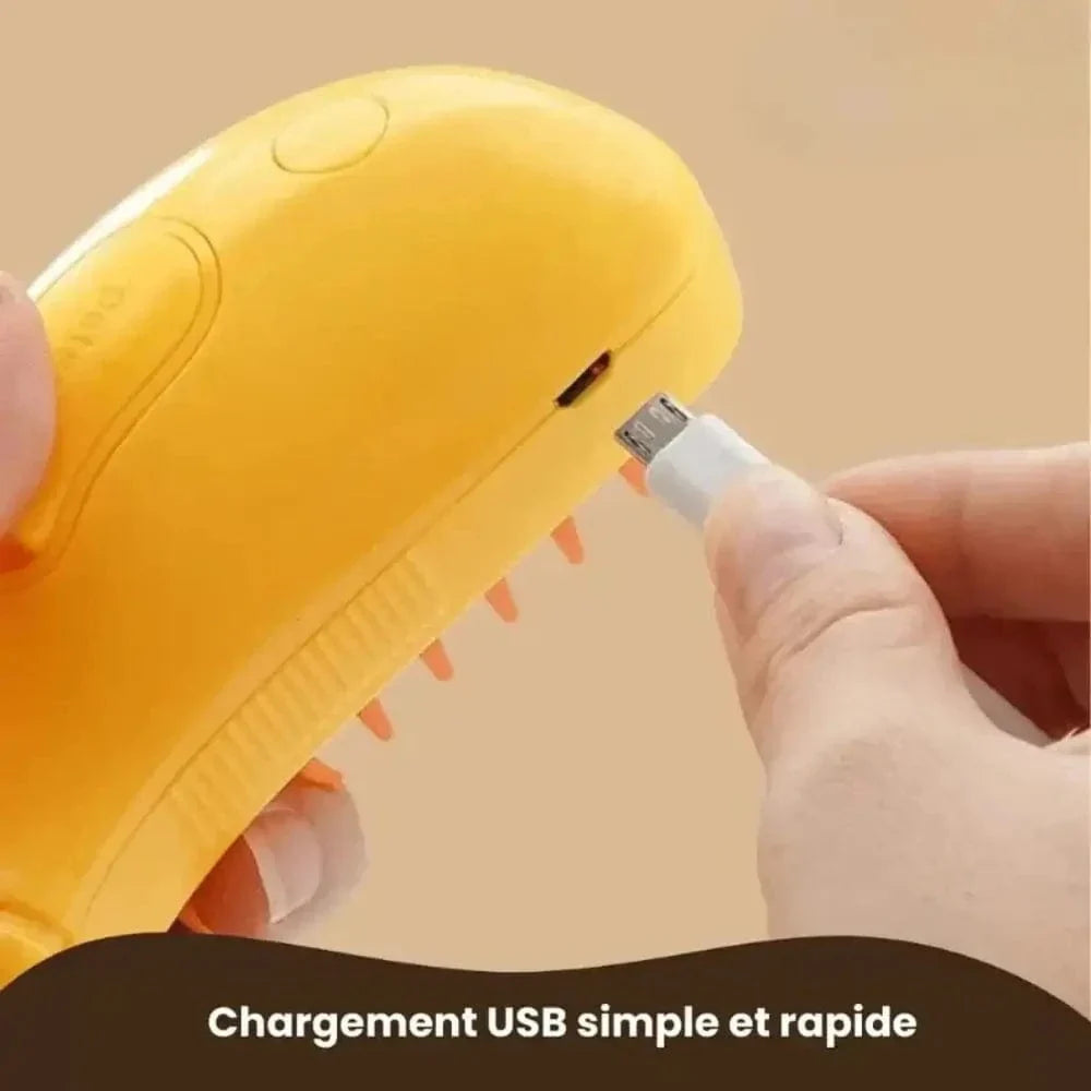 Brosse à vapeur douce et efficace