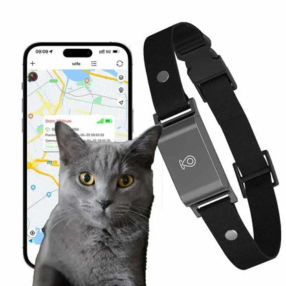 Collier GPS chat sans abonnement - Autonomie 7 jours
