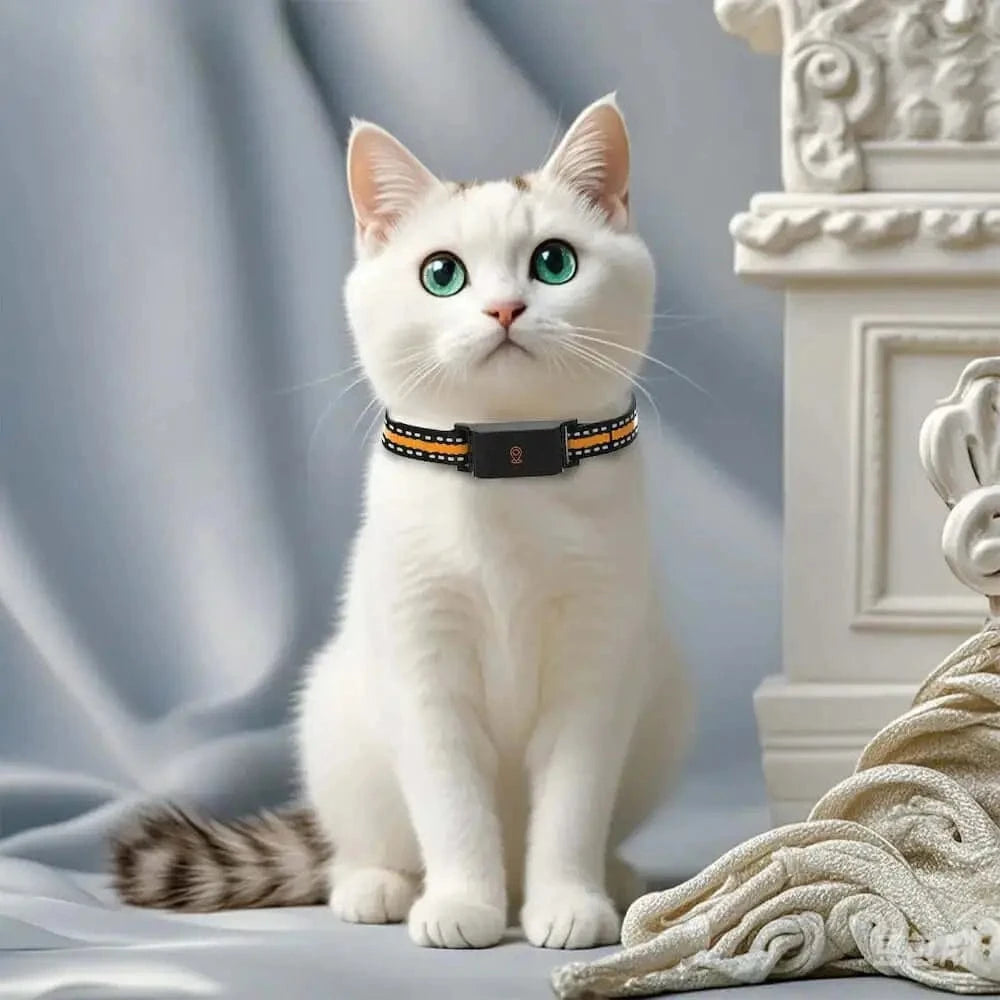 Collier GPS chat sans abonnement - Autonomie 7 jours