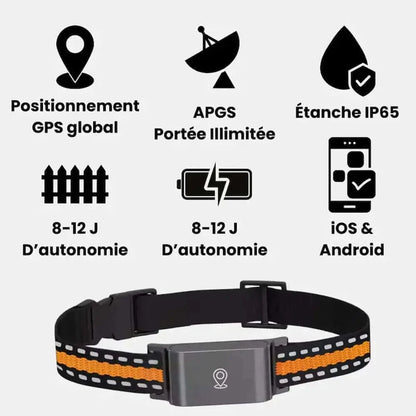 Collier GPS chat sans abonnement - Autonomie 7 jours