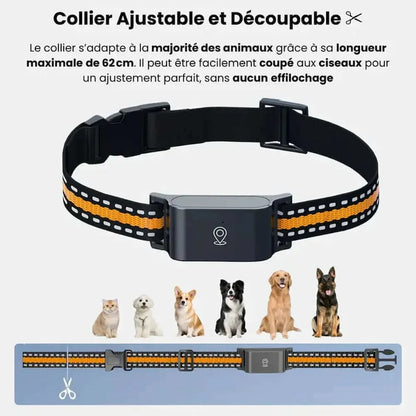 Collier GPS chat sans abonnement - Autonomie 7 jours