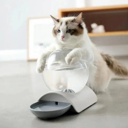 Distributeur eau chat 2,8L - Zéro filtre, zéro contrainte