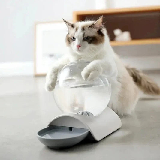 Distributeur eau chat 2,8L - Zéro filtre, zéro contrainte