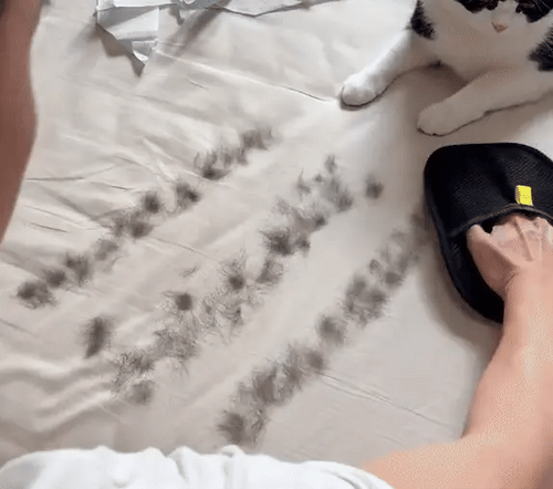 Gant magique anti-poil EasyGroom